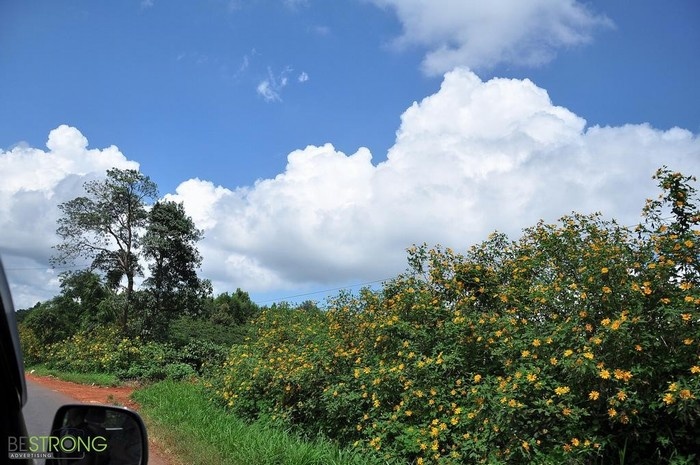 măng đen kon tum