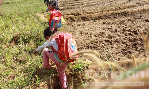 kon tum ngọc linh xê đăng