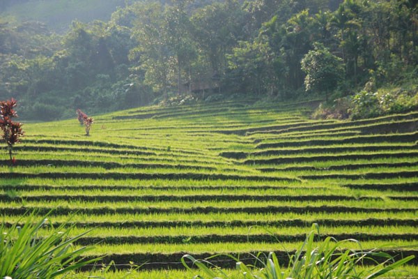 người xê đăng kon tum