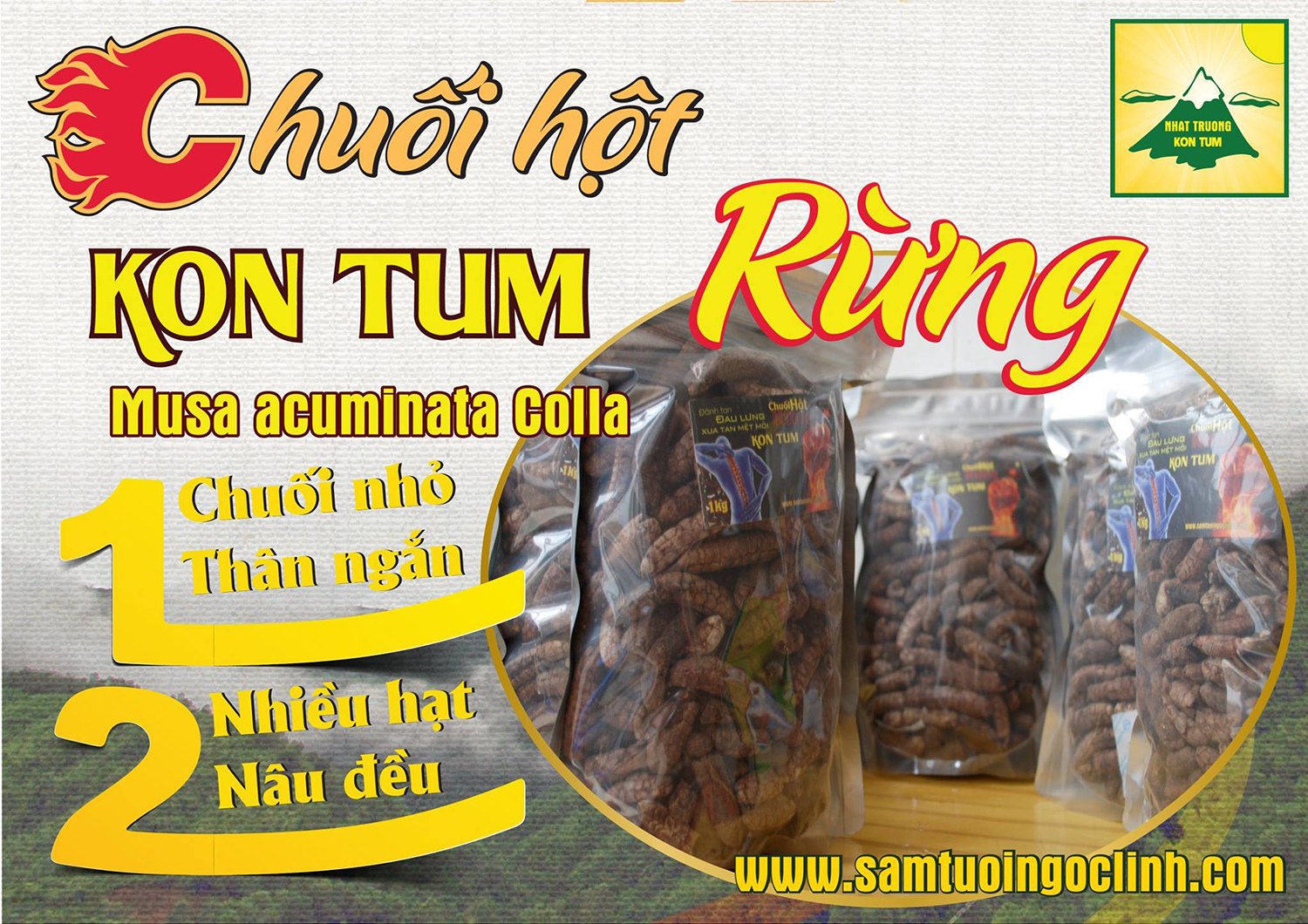 chuối hột rừng