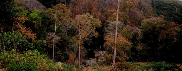 kon tum