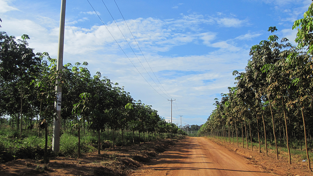 nam sa thầy kon tum