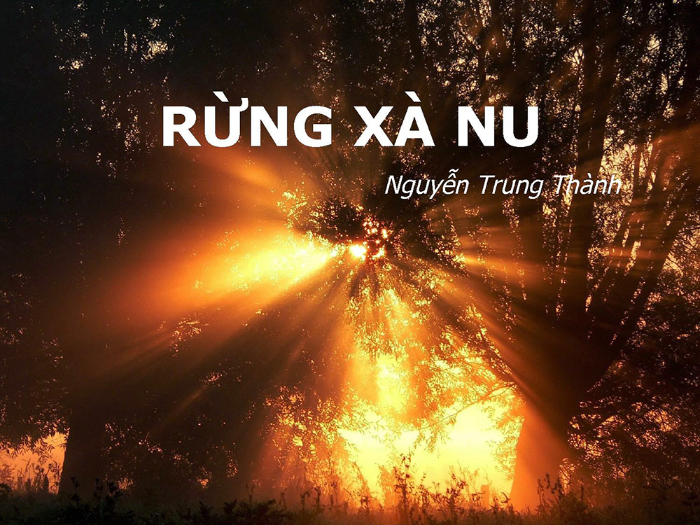 rung xa nu kon tum 1