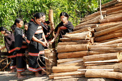 củi hứa hôn 3