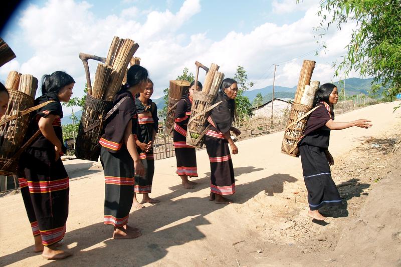 củi hứa hôn 4