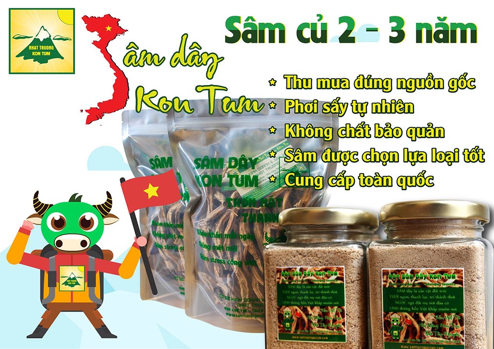 sâm dây kon tum ngọc linh nhật trường