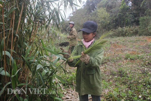 lộc trời kon tum 1