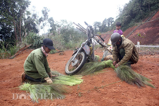 lộc trời kon tum 4