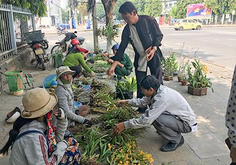 lan rừng kon tum