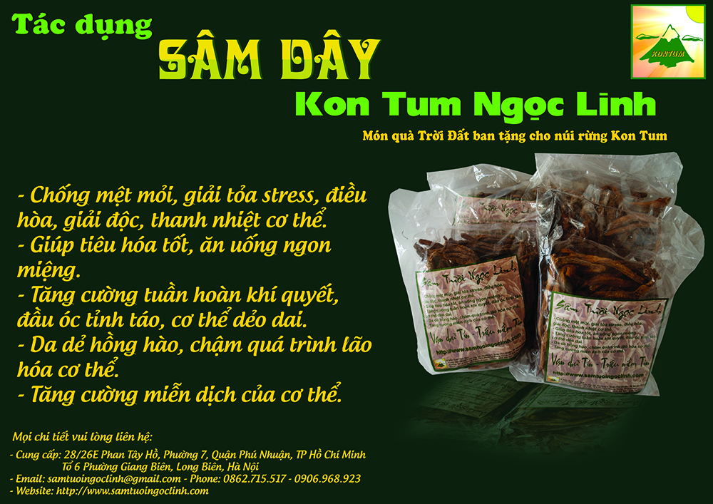 tác dụng sâm dây kon tum