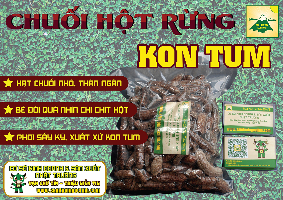 chuối hột rừng