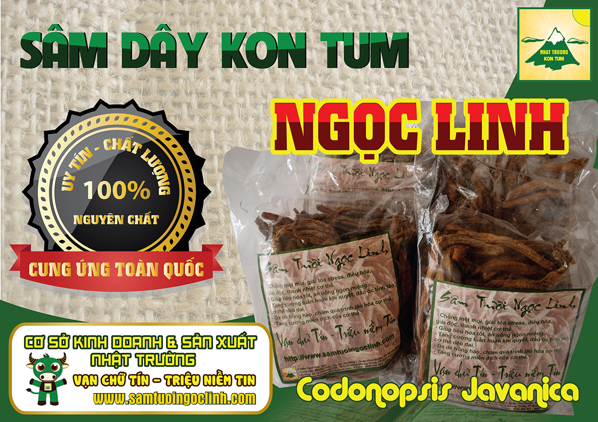 sâm dây kon tum ngọc linh