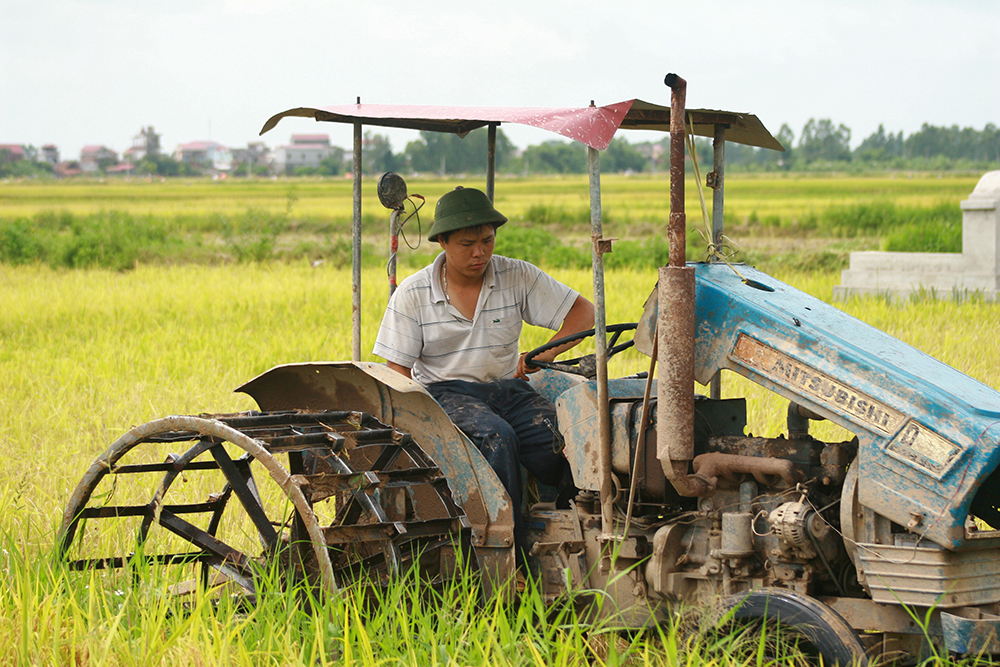 nông nghiệp