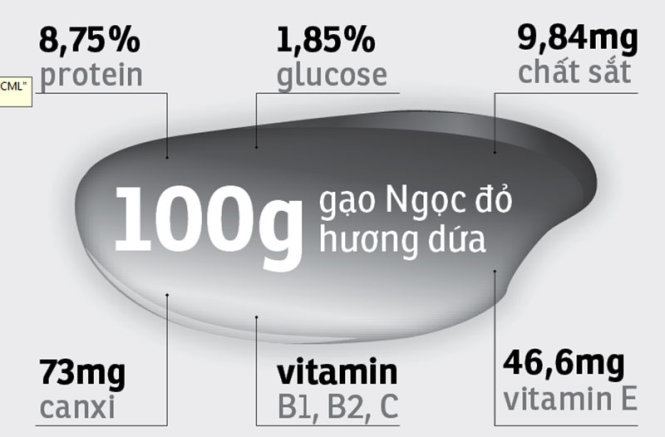 gạo dược liệu