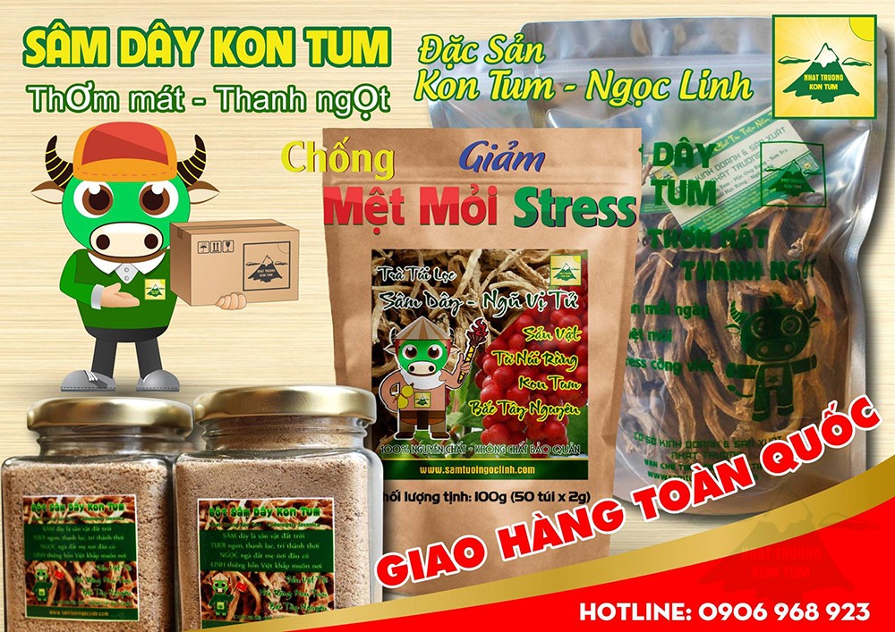 sâm dây kon tum ngọc linh nhật trường