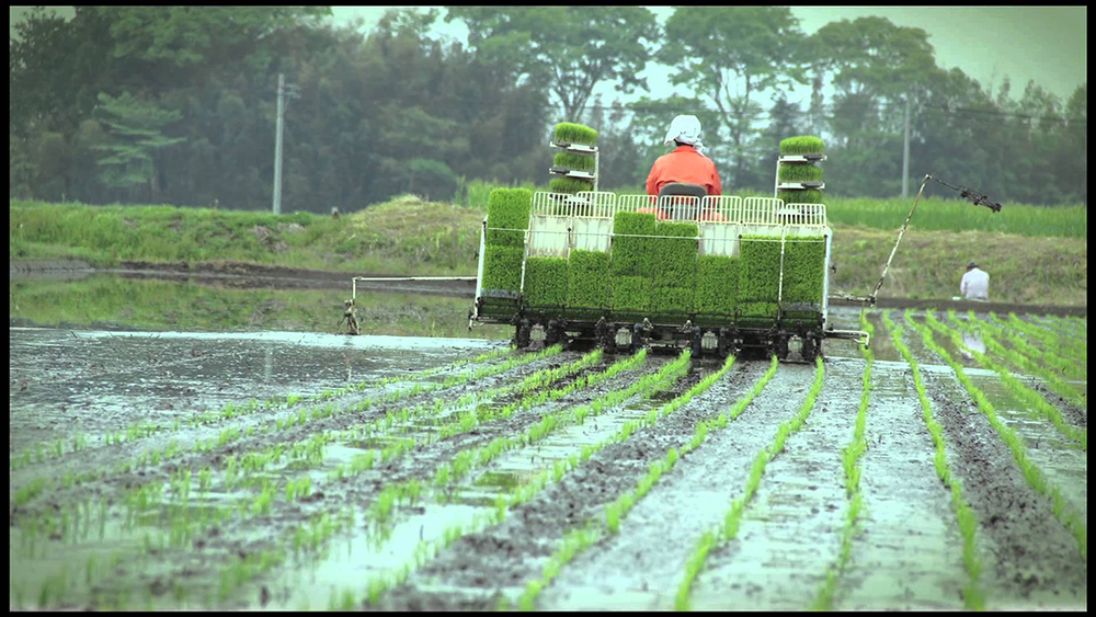 nông nghiệp nhật bản