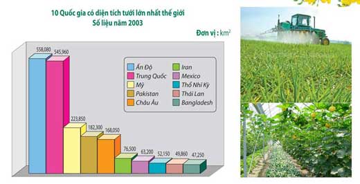 kỹ thuật tưới nhỏ giọt 1