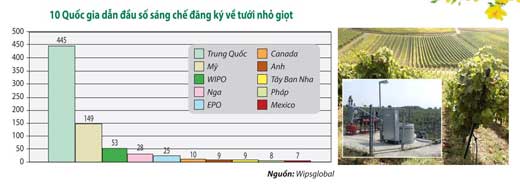 kỹ thuật tưới nhỏ giọt 10