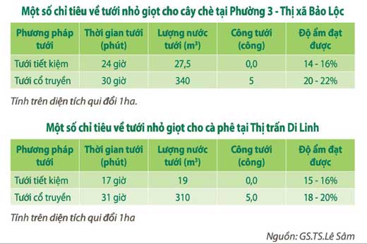 kỹ thuật tưới nhỏ giọt 2