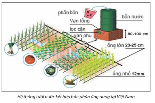 kỹ thuật tưới nhỏ giọt 6