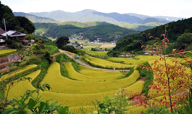 Ở Nhật Bản, nông thôn cũng đã sớm được hiện đại hóa. Điều kiện sinh sống của người dân nông thôn Nhật Bản không khác biệt mấy so với điều kiện sinh sống của người dân thành thị.