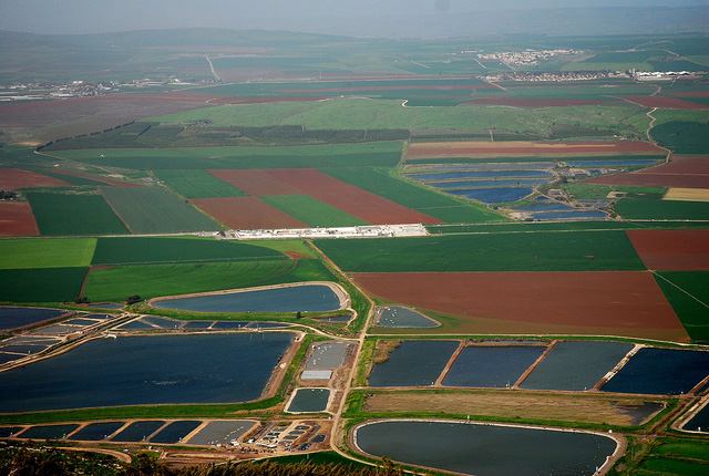 nông nghiệp israel 1