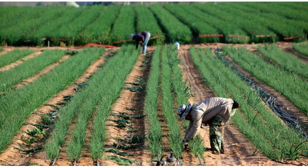 Đây là cách Israel khiến cả thế giới...