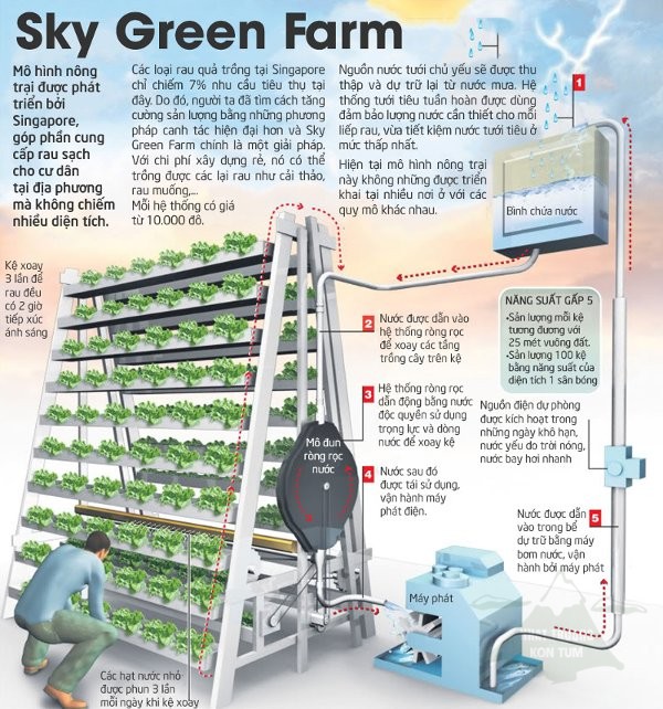 Sky Green Farm 1