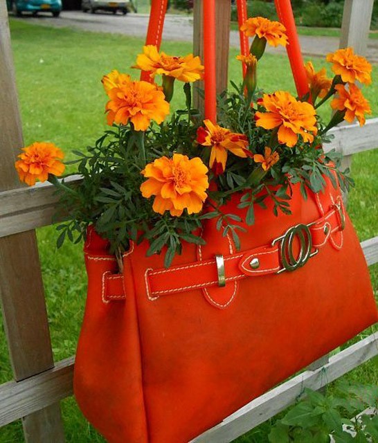 trồng hoa trong giỏ xách