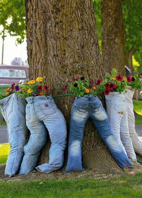 trồng hoa trong quần jean 1