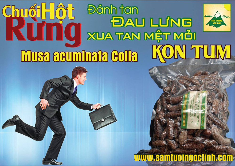 chuối hột rừng