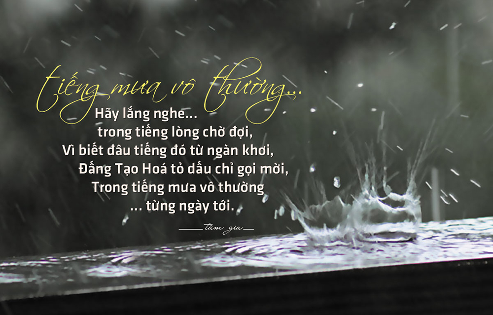 nghiệp theo ta như bóng với hình, dù trải qua trăm kiếp, ngàn đời vẫn không bao giờ bị mất, khi nào hội đủ nhân duyên thì quả báo tự nó hiện ra, không một ai cưỡng lại hay làm sai lệch được