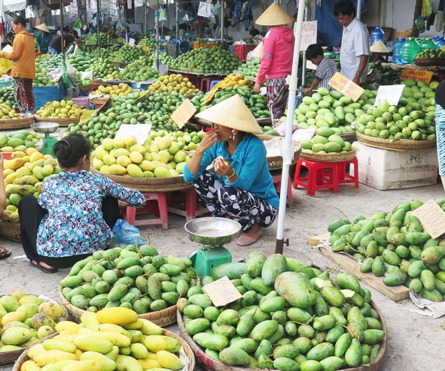 núi cấm châu đốc an giang 1