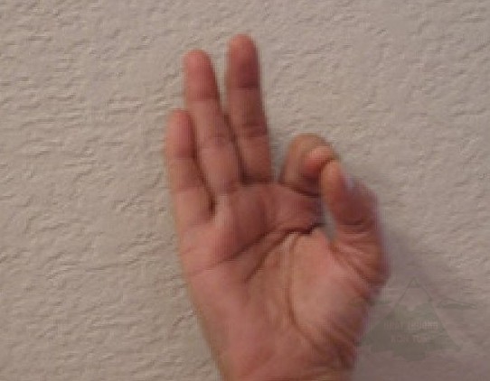 Gyan mudra