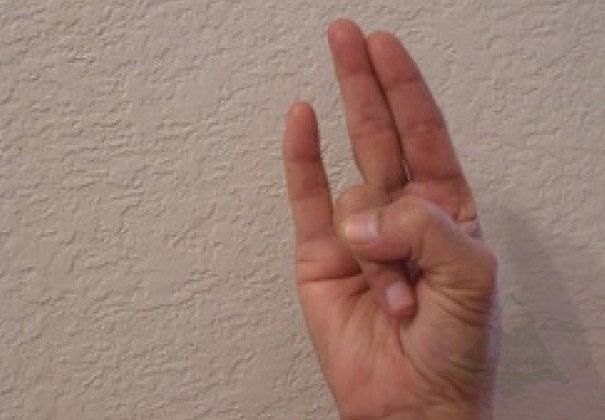 Surya mudra