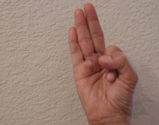 Vaayu mudra