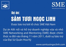sme-vietnam-sam-tuoi-ngoc-linh.jpg