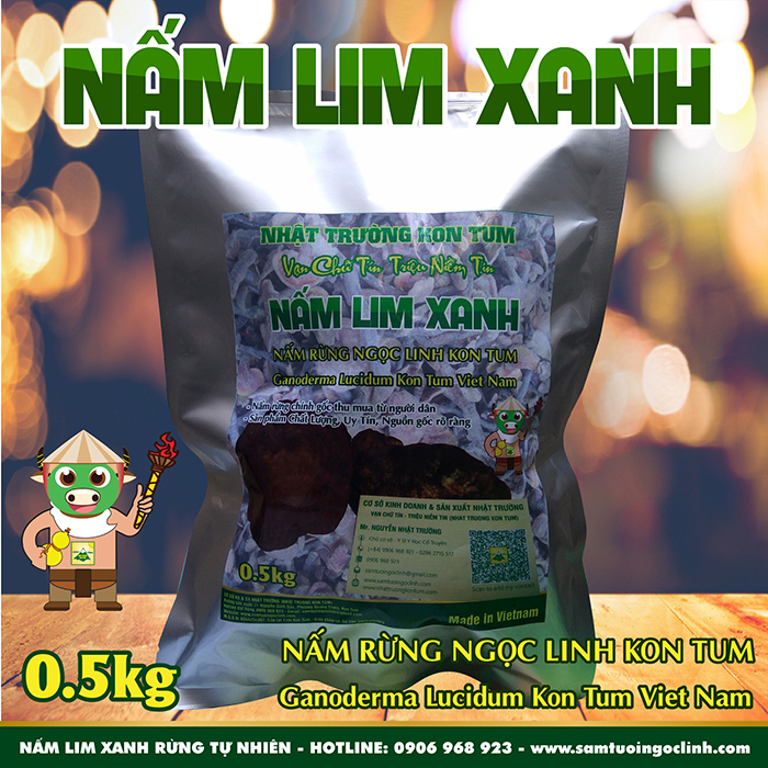 Nấm Lim Xanh Rừng Tự Nhiên Ngọc Linh Kon Tum Nhật Trường