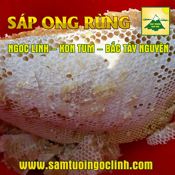 Sáp Ong Rừng Tu Mơ Rông Ngọc Linh Kon Tum