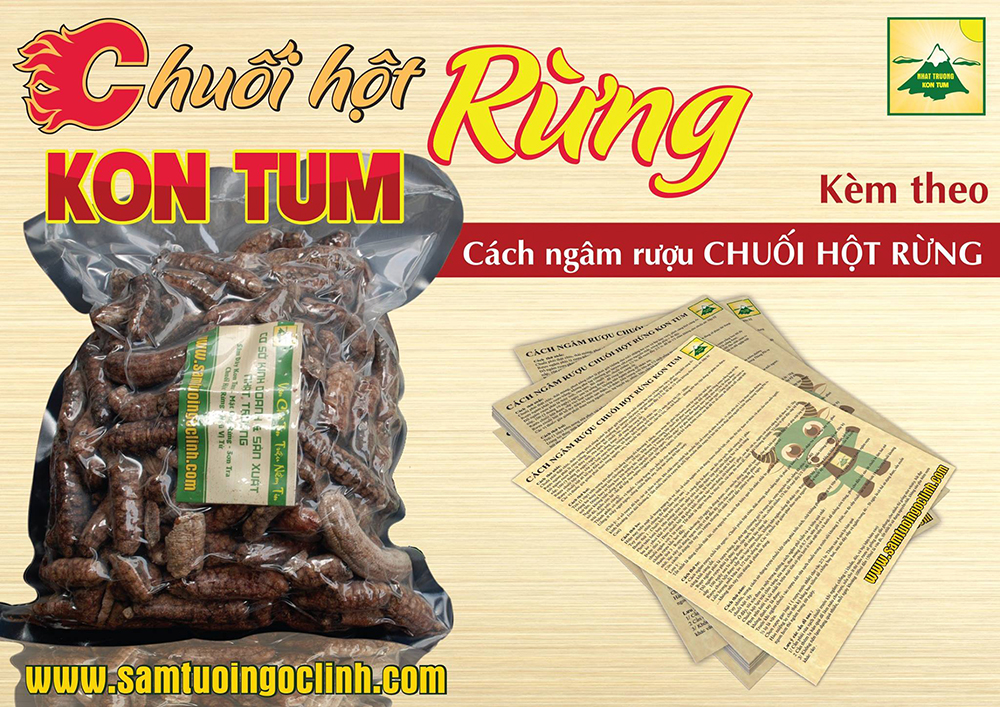 chuối hột rừng