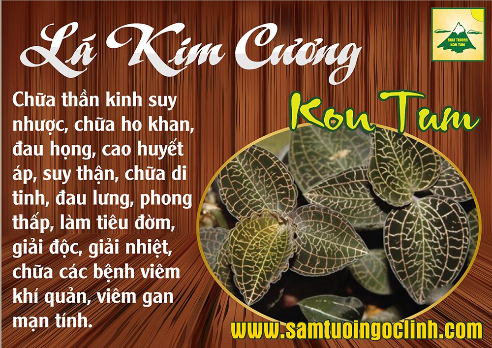 lá kim cương lan gấm