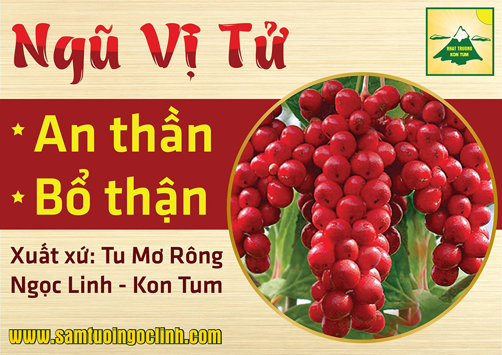 Ngũ Vị Tử