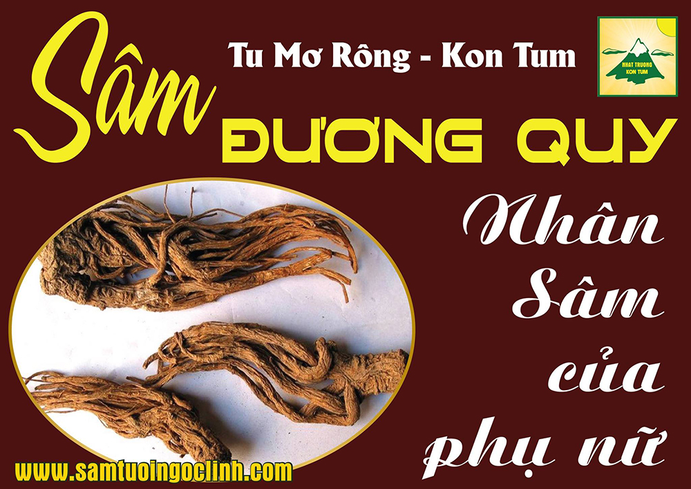 Sâm Đương Quy