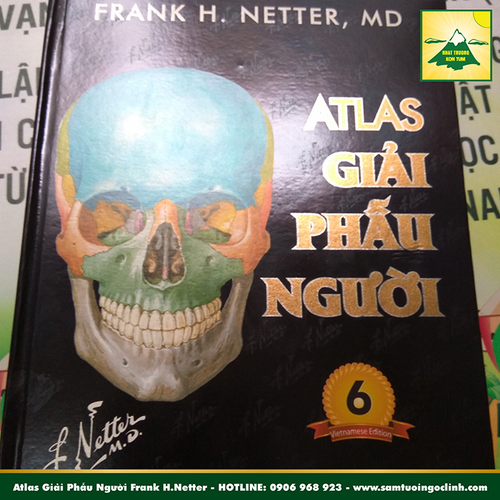 Atlas Giải Phẫu Người Frank H.Netter