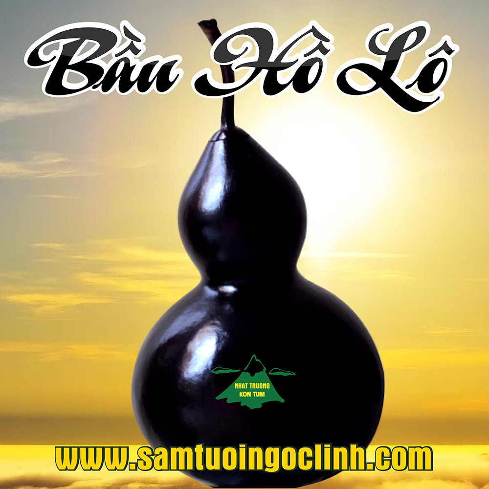 Bầu Hồ Lô Kon Tum