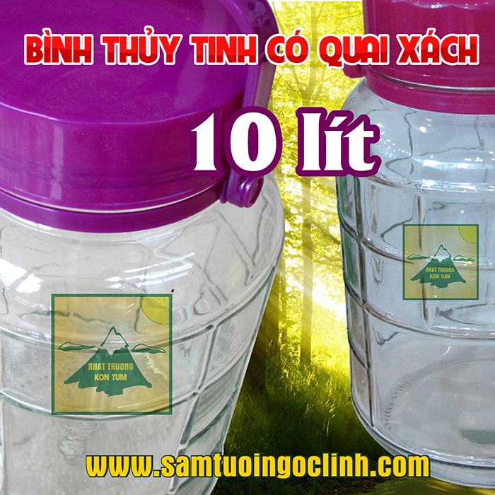 Bình Thủy Tinh 10 lít Quai Xách