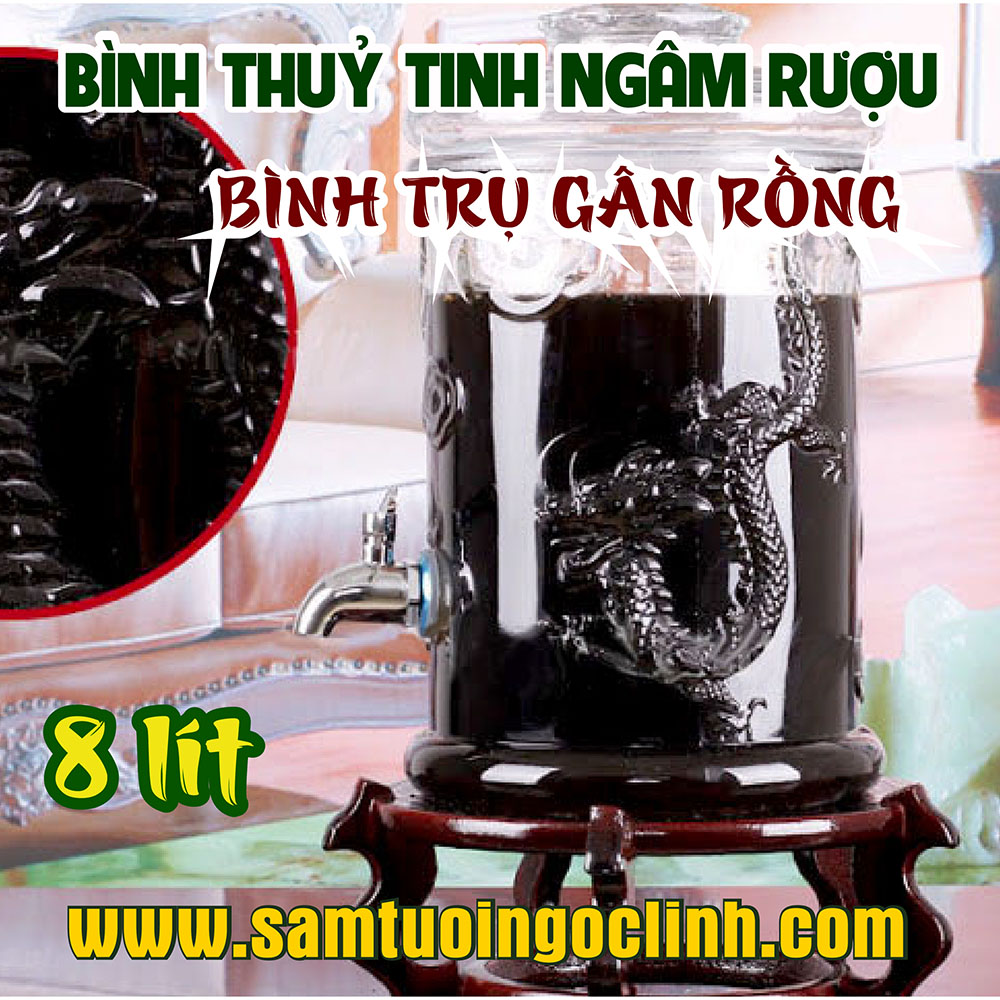 Bình Thủy Tinh Gân Rồng 8 lít Ngâm Rượu Hoa Quả