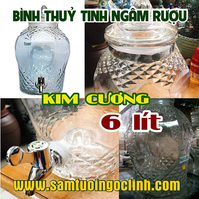 Bình Thủy Tinh Kim Cương 6 lít Ngâm Rượu Hoa Quả