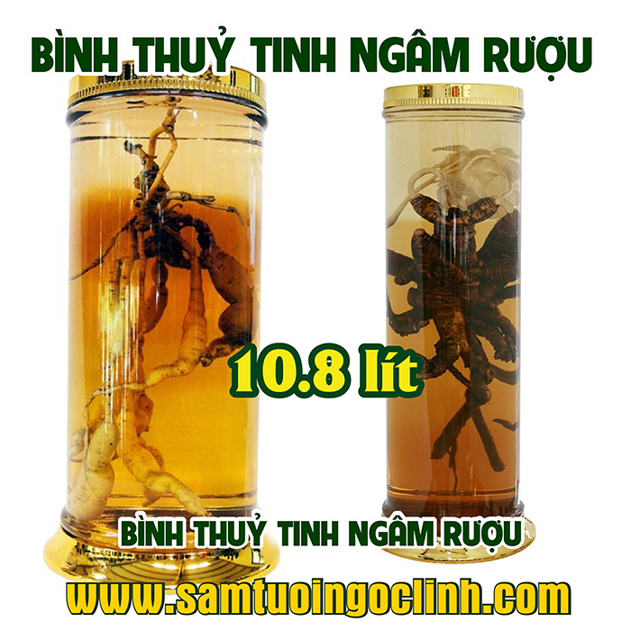 Bình Thủy Tinh Rượu Sâm 10.8 lít Kiểu Dáng Đẹp