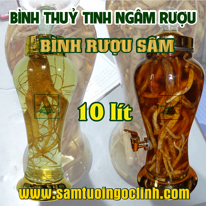 Bình Thủy Tinh Rượu Sâm 10 lít Kiểu Dáng Đẹp